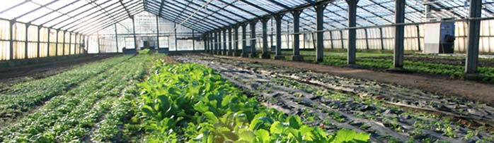 Grüne Bereiche | Bärengarten